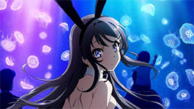 <青春ブタ野郎はバニーガール先輩の夢を見ない>